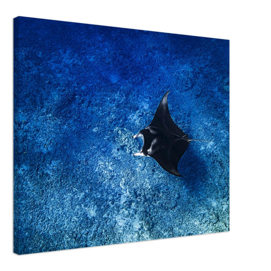 d084ff3d-1989-4eca-b5ec-934966f507bc