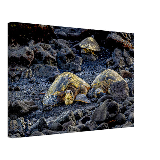 d1646097-7f55-4598-b29d-b8a74b0eae73