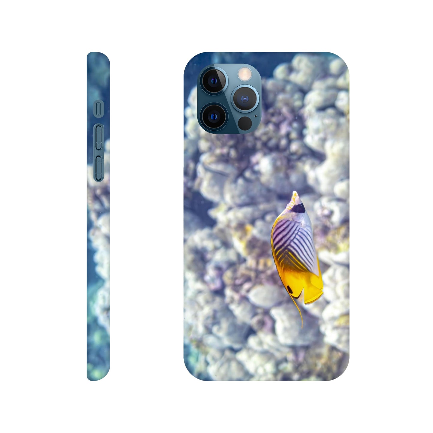 d1756c14-2c43-4b52-a276-4e92d452b5cd