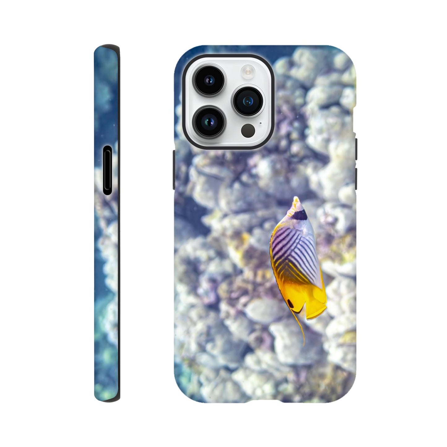 d19134b4-60e9-405e-9a66-2ba30d44c2c9