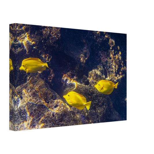 d25980bc-6956-46ae-9a61-753423c280d1