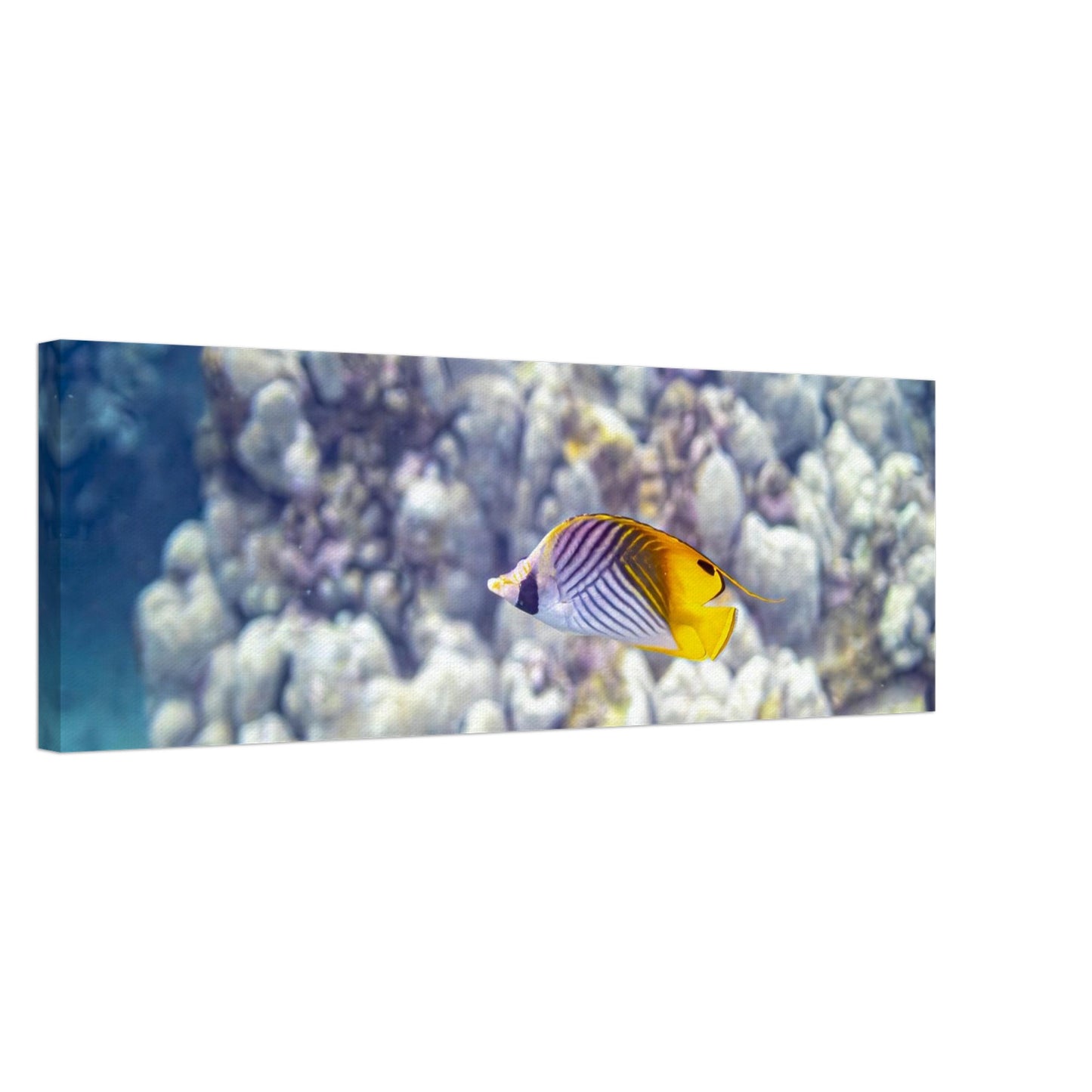 d3e0bec6-4ca3-4d23-92a2-c5aeba7f4723