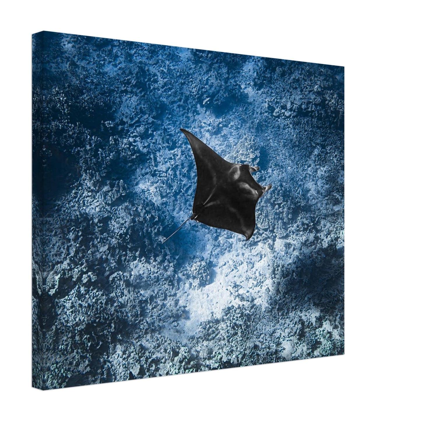 d45c459d-97db-432d-bad7-d2da4d599229