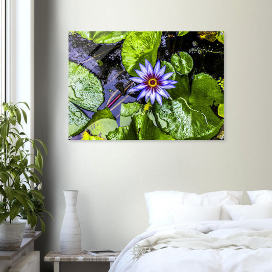 d5c2e0ee-d8ae-4f4a-b312-d93edd542a81