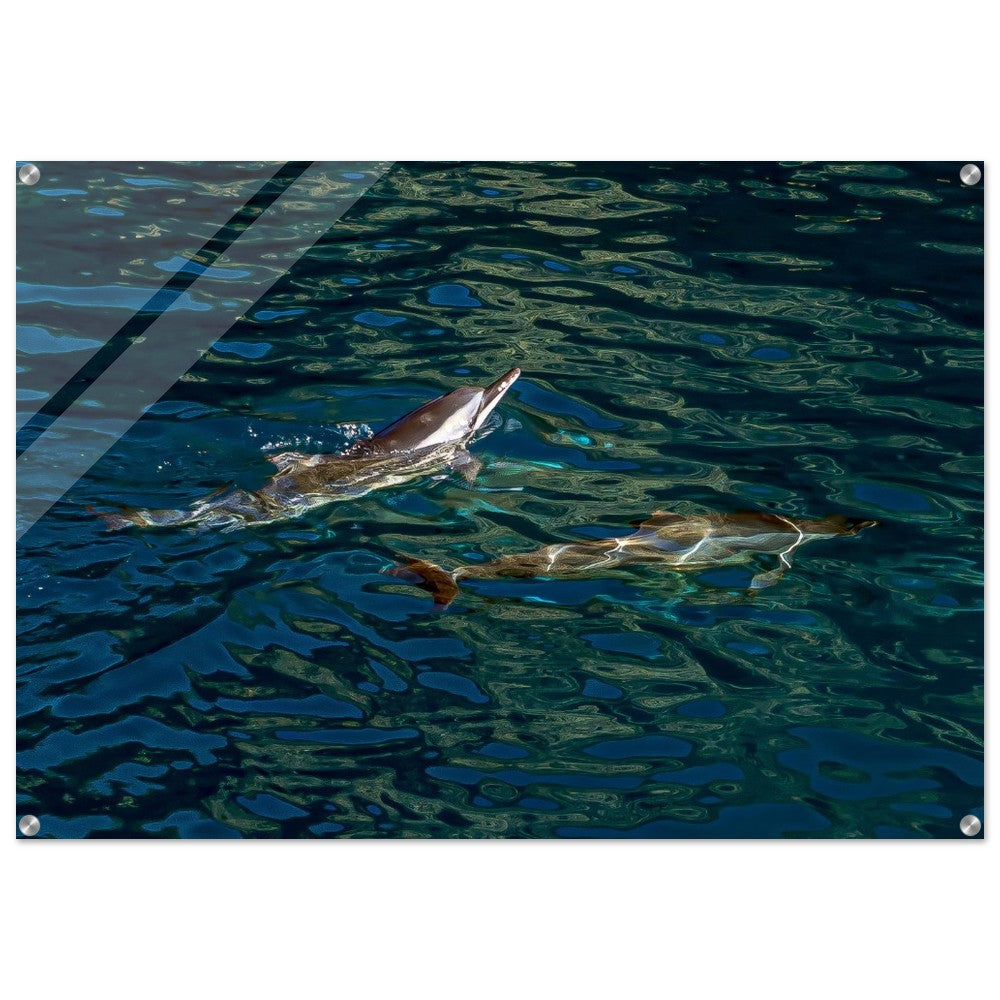 d60af450-2d57-4b35-b797-c4abe54beaa9