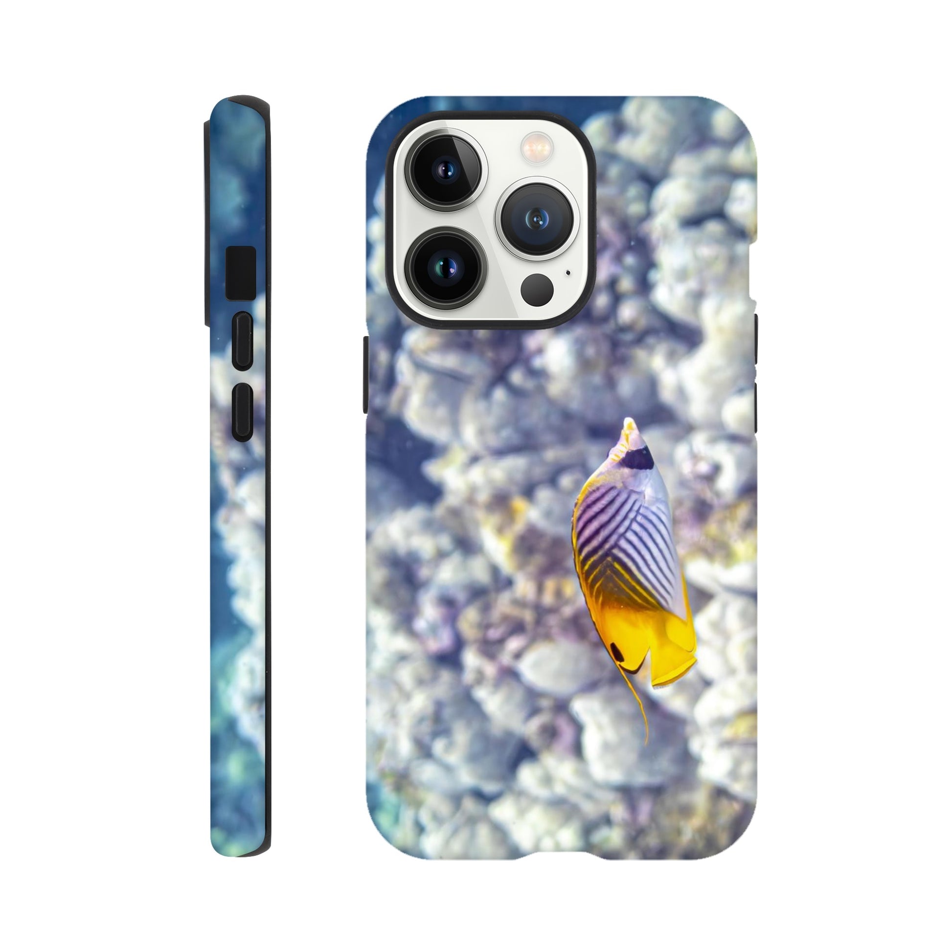 d797cae8-623d-4b16-bc1e-579e008e7331