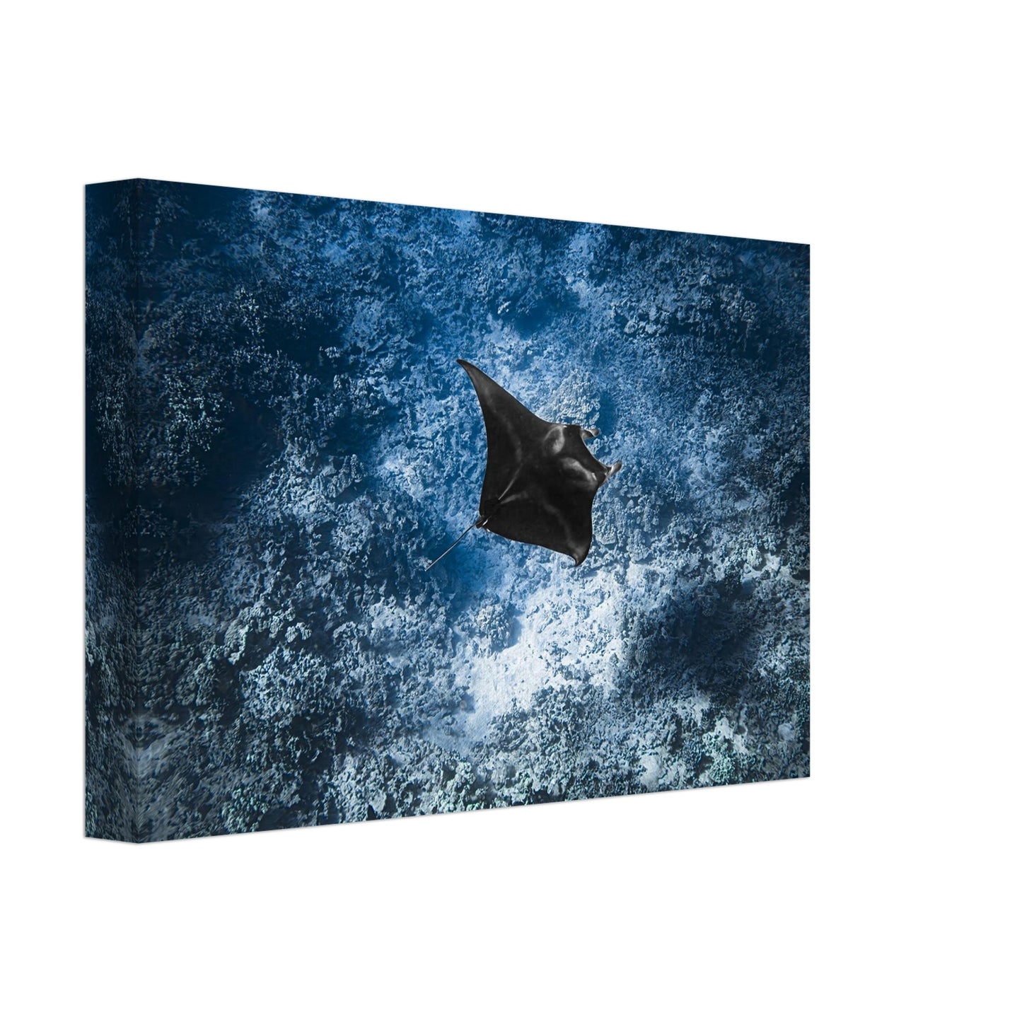 d7a13f4f-f295-4fd3-b3fd-3e9686b61da5