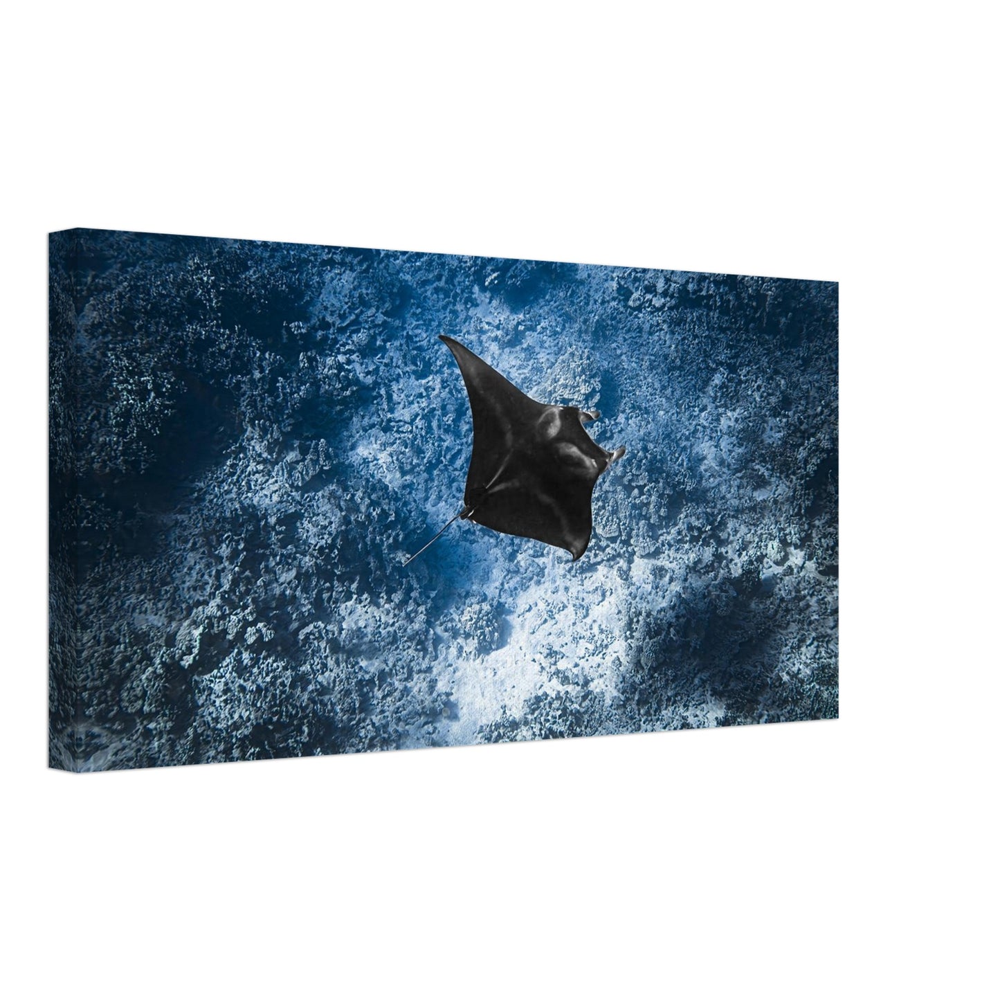 d839560a-9932-4198-abee-6fa7363c3bf0