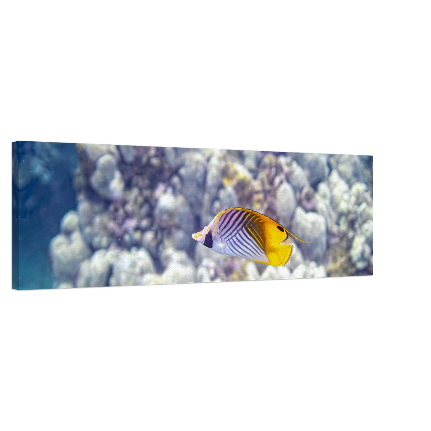 d8ffeb31-345e-4db5-b1ec-2db6e47a7800