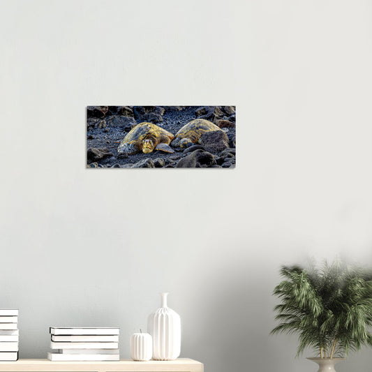 d9664487-5e3d-47e2-8c19-ff28f721549f