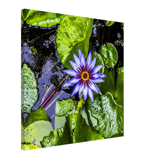 d97b8ed2-f9b5-410a-bdf2-1ab779017659