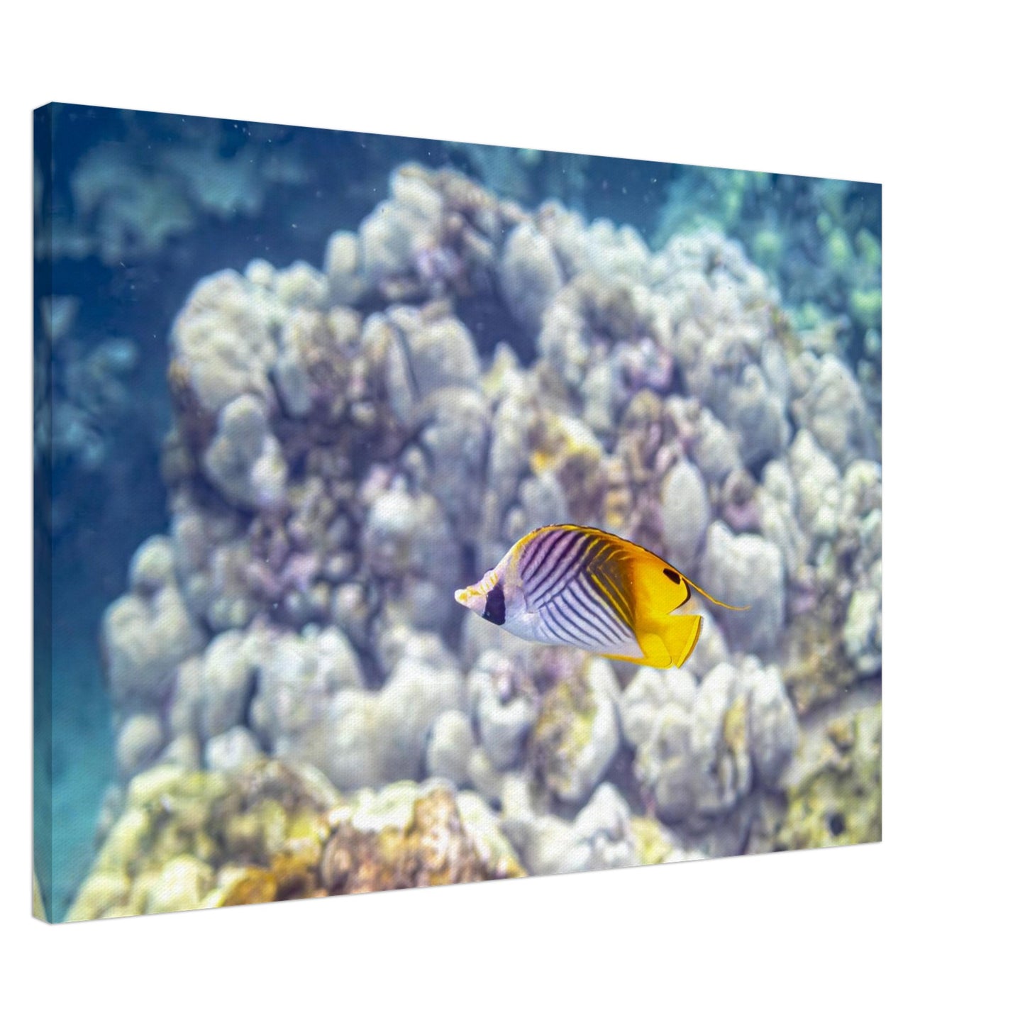 daf2e351-ef69-44ef-a5d8-77a3aa89e642