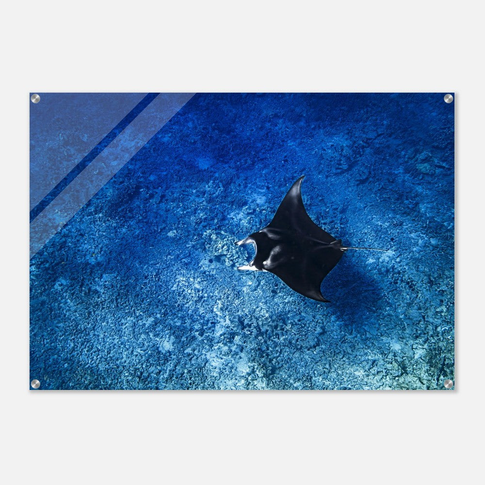 daf4be58-65aa-41cb-97a6-485b479500fa