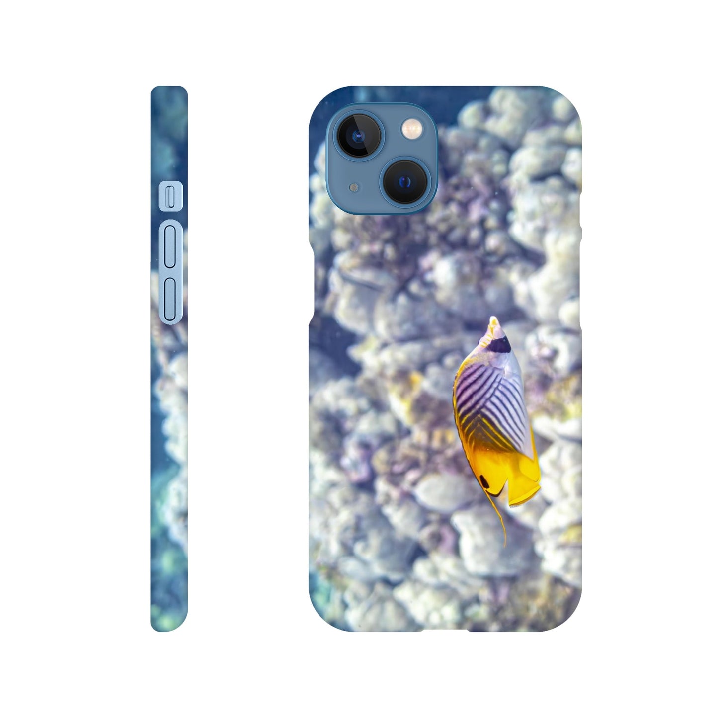 ddb66a5f-4fd2-4e48-92ce-bf7e60f73abd