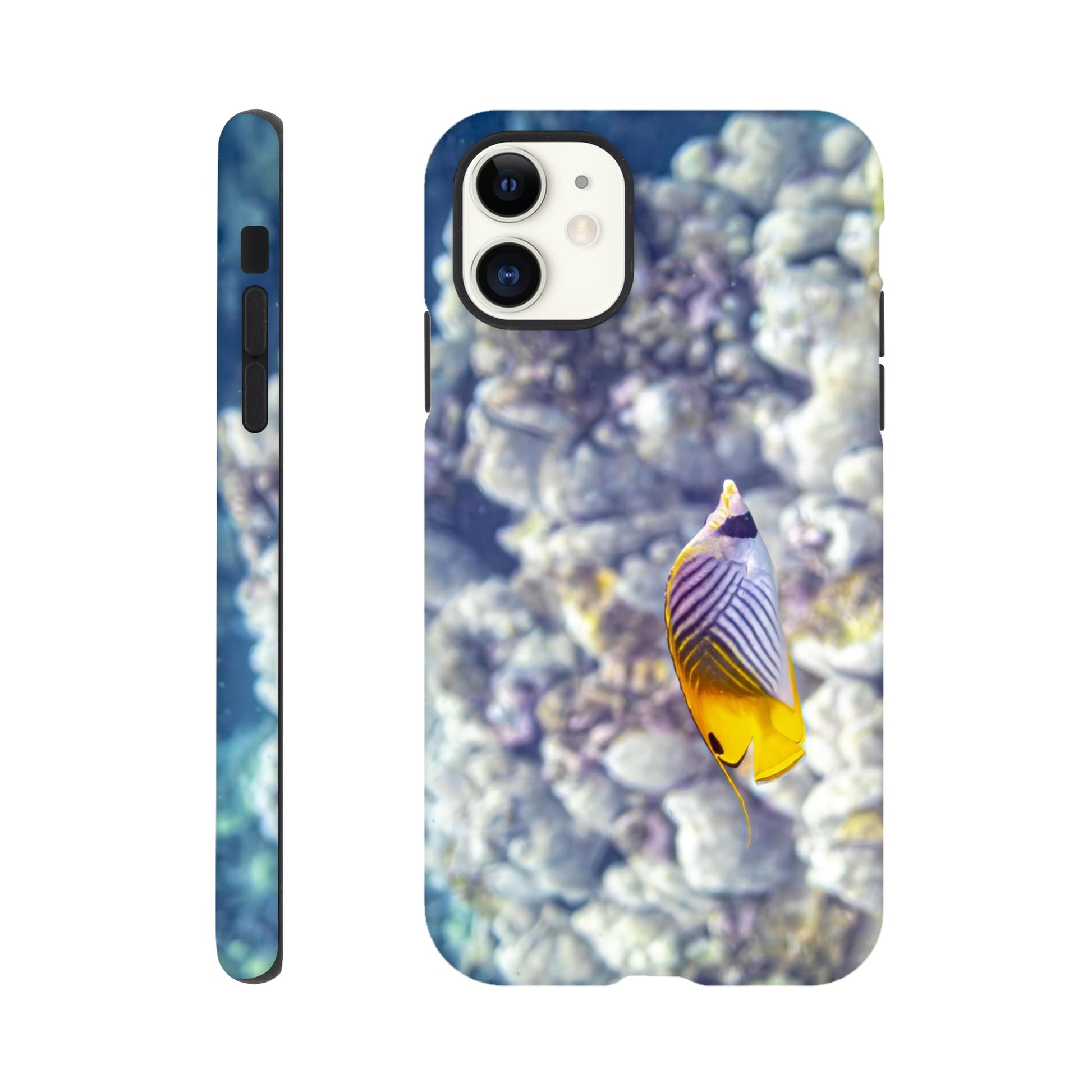 dffe2bfa-9623-4779-8e76-f7304a712a9e