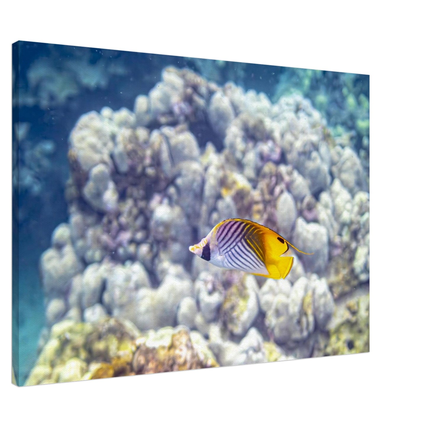 e0ed0388-633a-4065-8c5b-896cc0840ed7