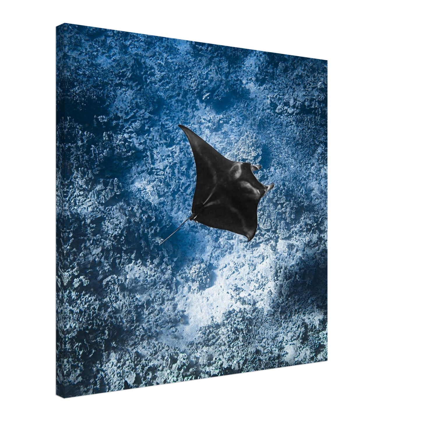 e52ccbc2-c5ab-488c-b6f3-29701bff9c7d