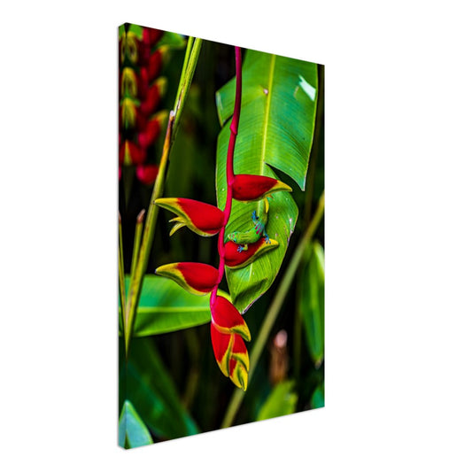 e6fbb437-04b4-490b-95b6-f2498c4804bf