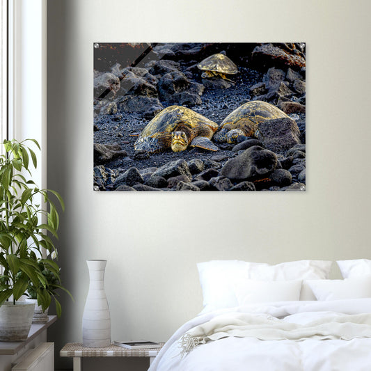 eaf09af2-543b-4233-a354-4b6da746299c