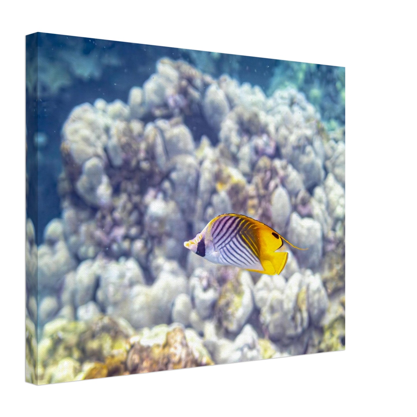 ebbbc575-7648-4e3d-a4f9-e20b290ab699