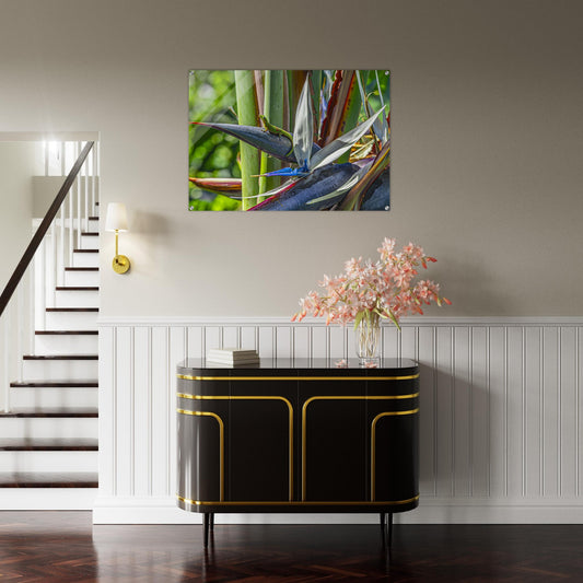 ec46a10d-73f8-4376-b27b-b3aabdbe781f