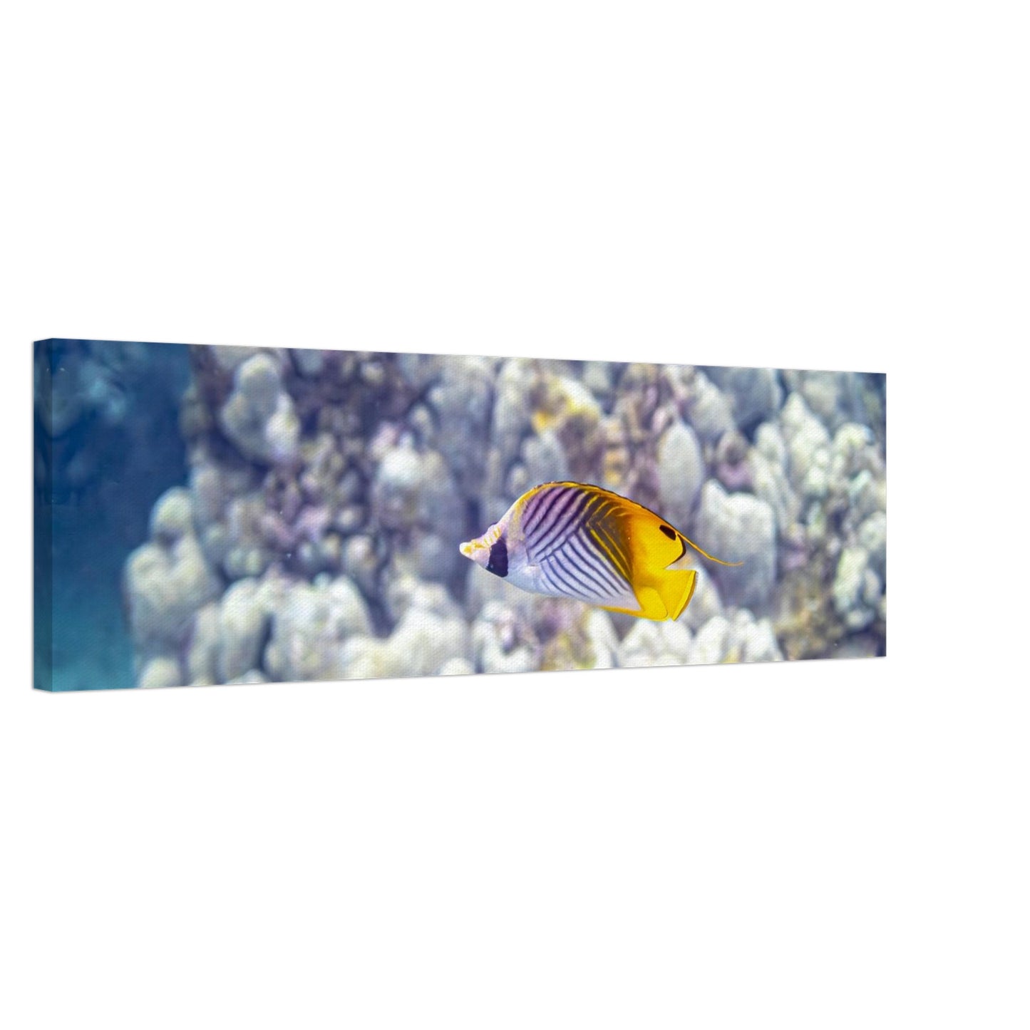 ef83788c-ed2a-4dfd-895b-f98cc2c95ff0