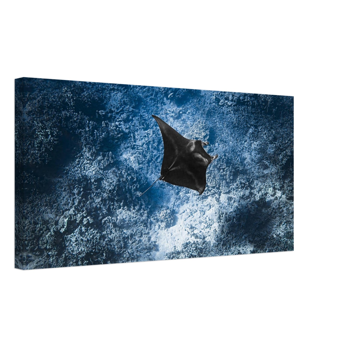 f20ea358-ee6c-4133-8be3-ac9ce76ea5e7