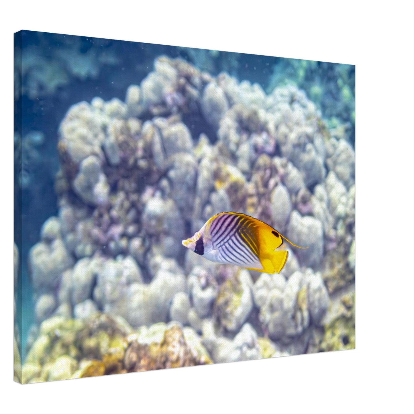 f33c2c09-5105-436f-a27e-891e07183fdf