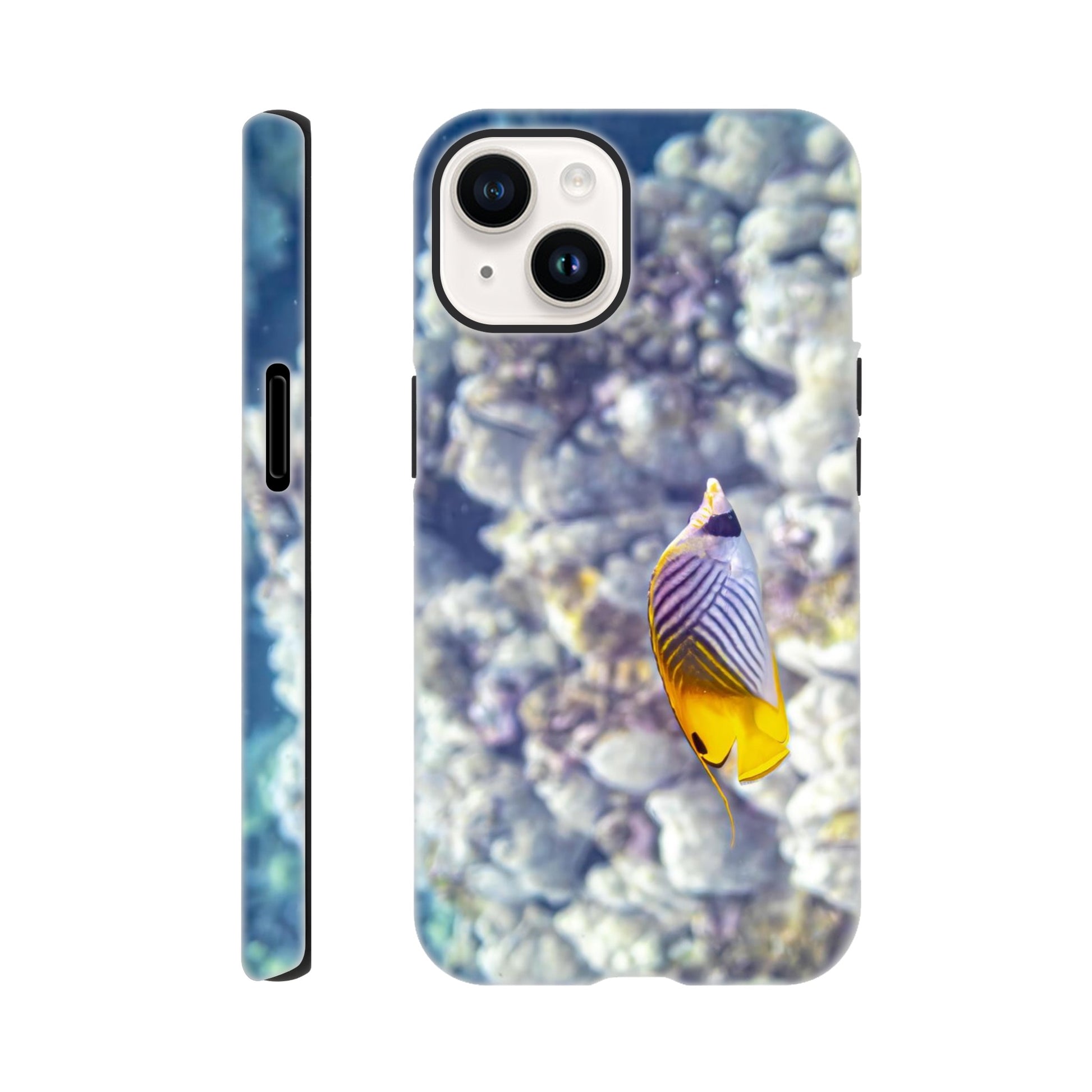 f4669127-0474-4540-8735-144863cbe13d