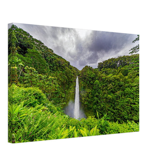 f68f9f94-b898-44fd-bf49-48160accacc7