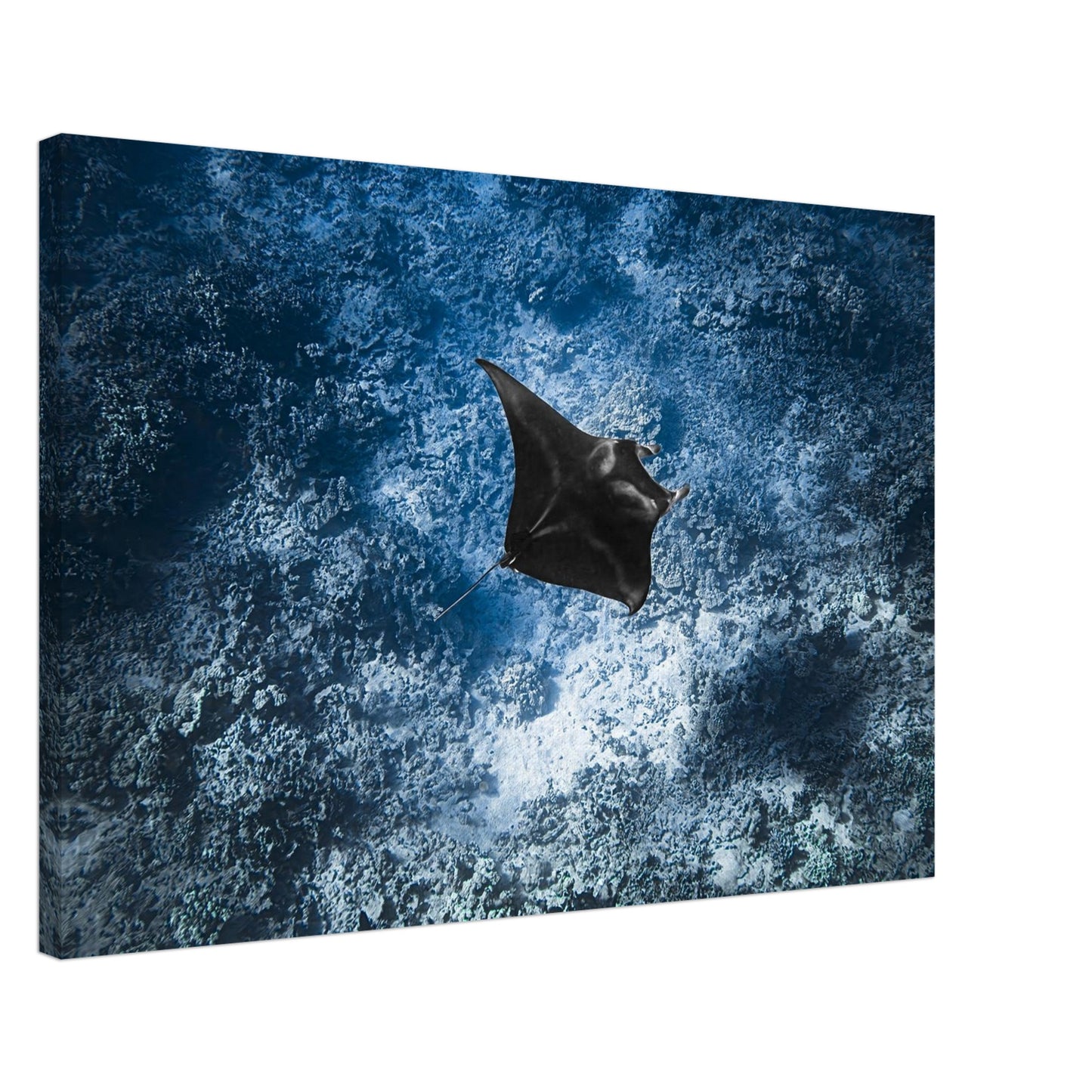 f79cdb82-cda4-43b1-abec-46502d669bc1