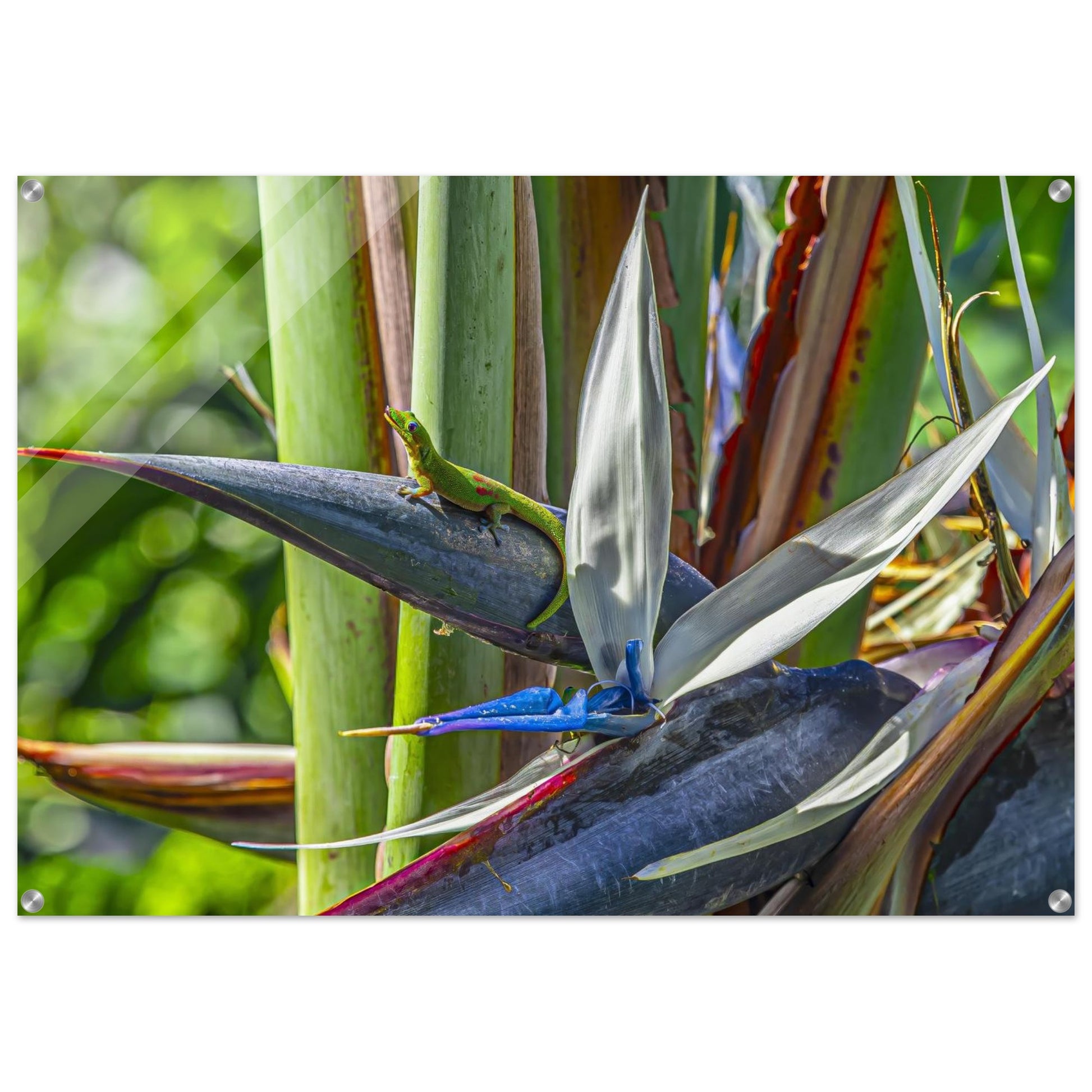 f8561972-3896-4fed-8cad-f9b29a2c40ec