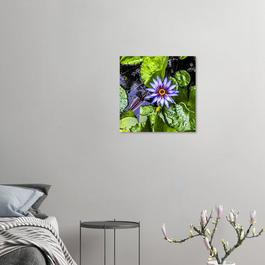 fb86a9e1-39d1-4df5-bd59-f40b3f0746f1