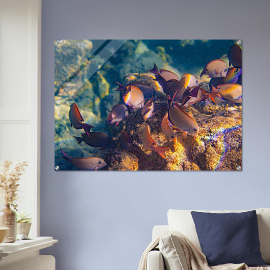 fdc322b2-32b3-4099-8e73-063c3e9e8ca2