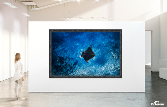 Bringing Hawaii to Your Walls: The Power of Tropical Wall Art