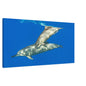 0015c156-11ce-4412-b590-568939d7531c