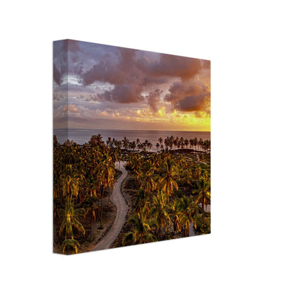 00ad0020-1ad6-442f-944b-19e2a2566b66