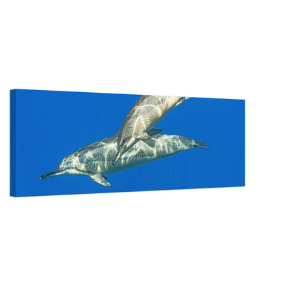 018faf4e-a214-430f-b53a-ddc434cb5434