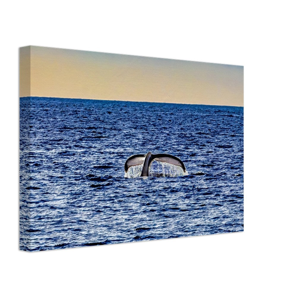 041252b9-598a-455c-a572-4837bdda9d67