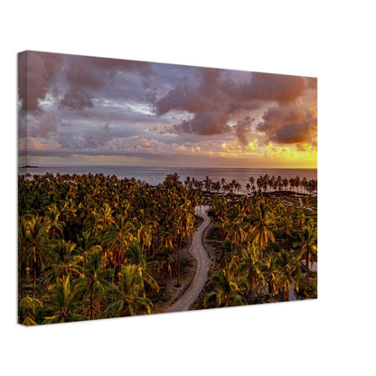 04a491a3-32c6-449b-8bf4-b7ef518f8d6a