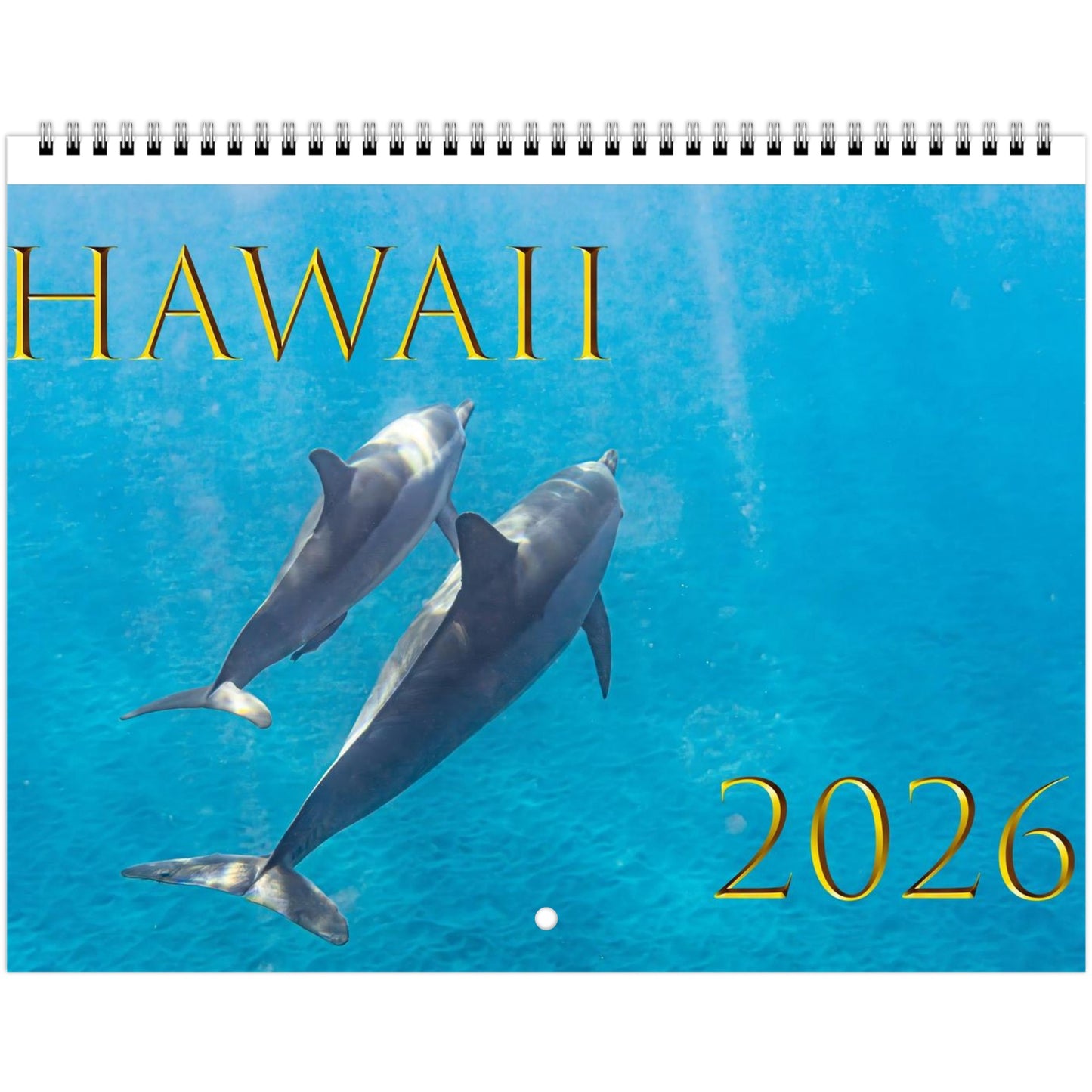 07f374af-33b8-4bae-b37a-68a60dea5c3d