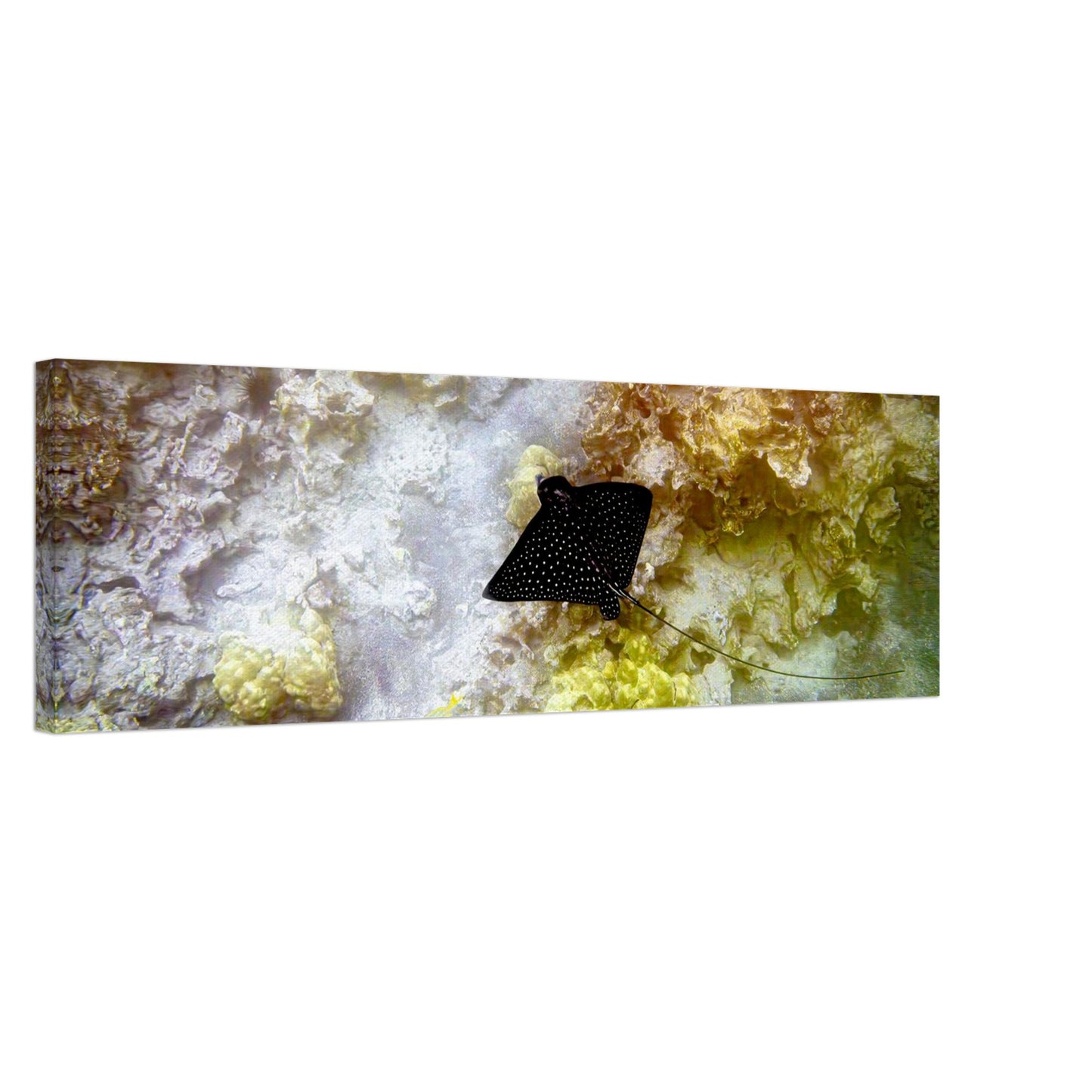 09202dd2-1ad1-4480-b421-041ed129e34c