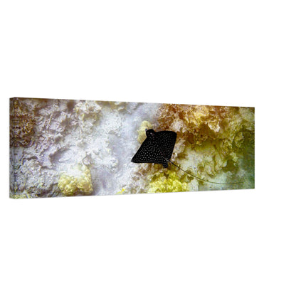 09202dd2-1ad1-4480-b421-041ed129e34c