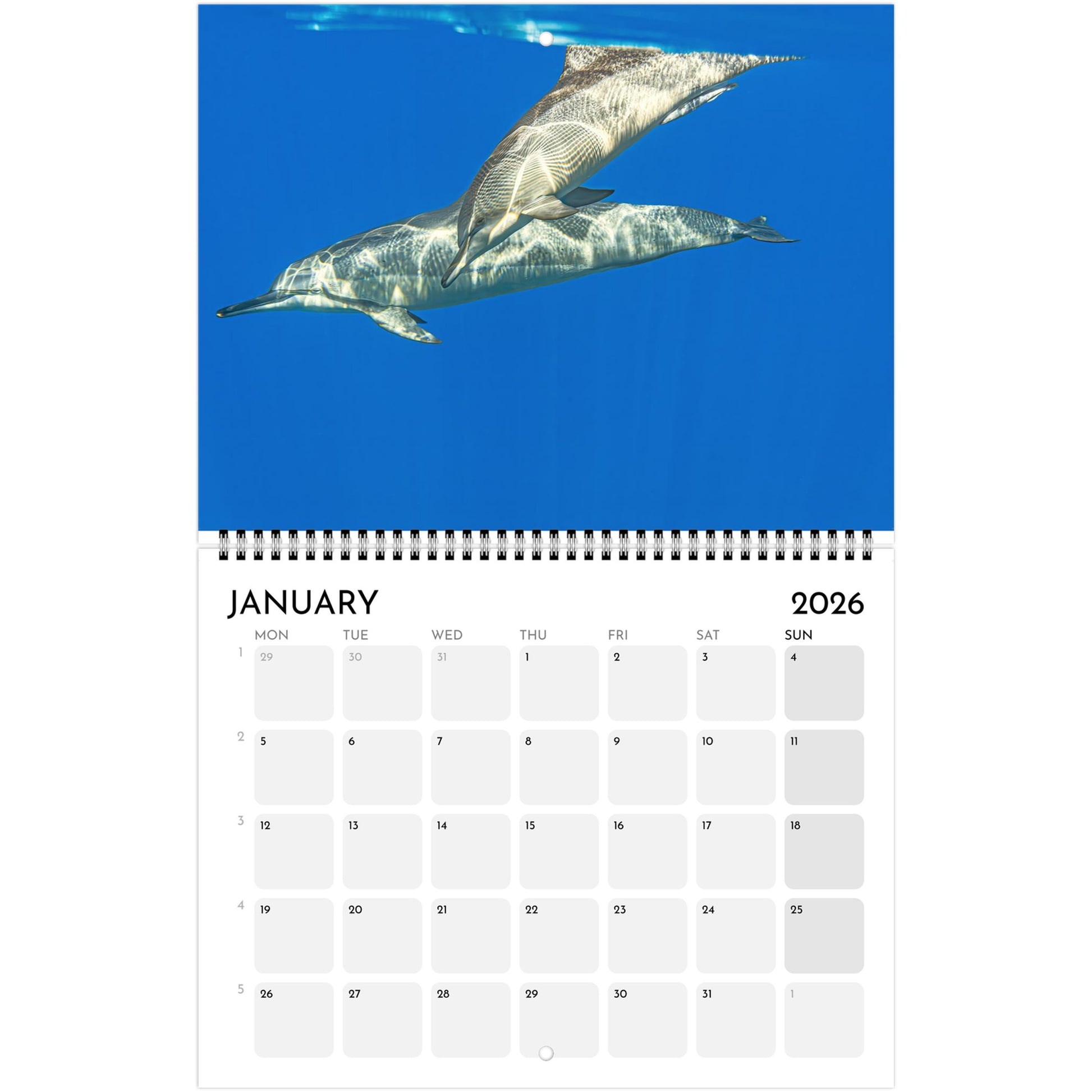 0939dfaa-b884-4bdc-bcc1-141a3cfd860c