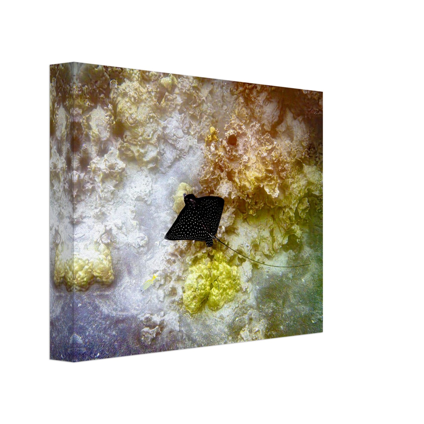 0a3dcdc4-e27f-41b9-89b1-e816eb36ec8f