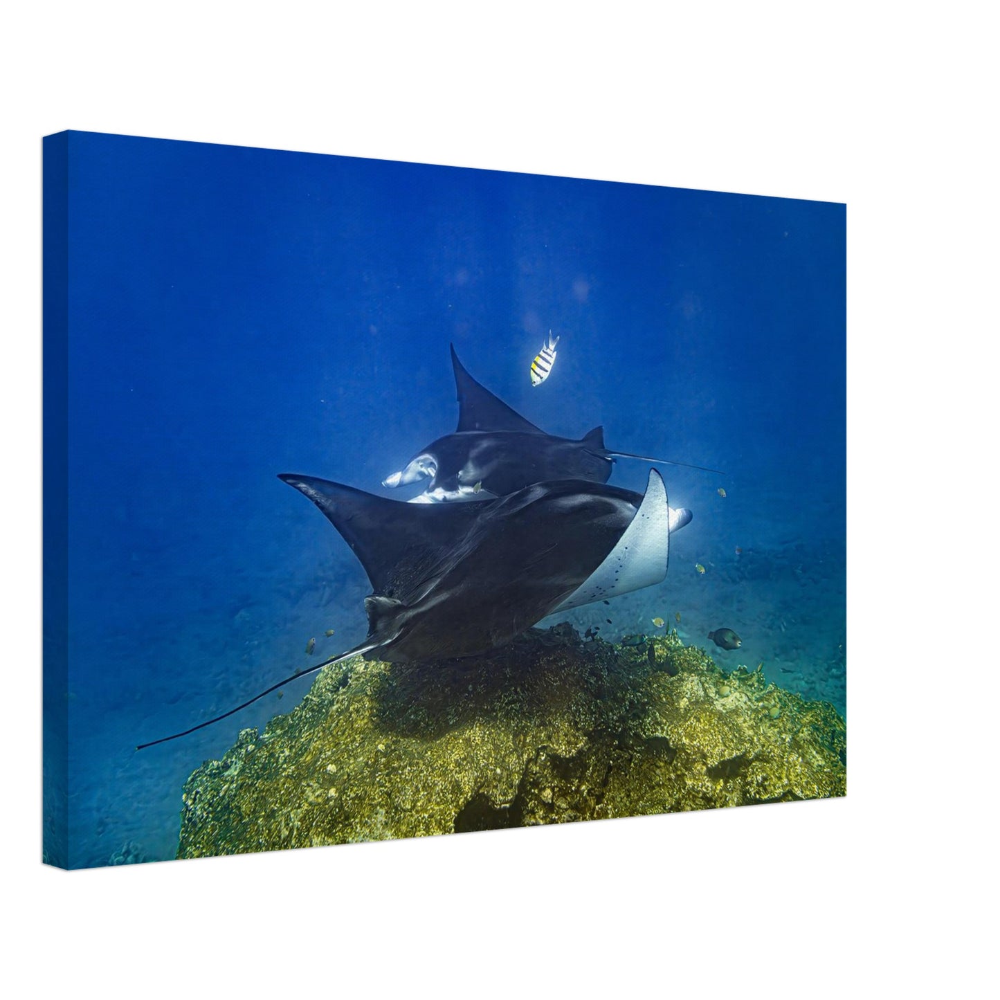 0ce92bc2-23df-4324-97aa-bf802461417e