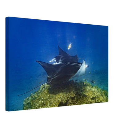 0ce92bc2-23df-4324-97aa-bf802461417e