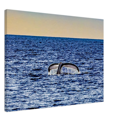 10de30f1-3aca-422d-af1d-f0f8fc71bf42