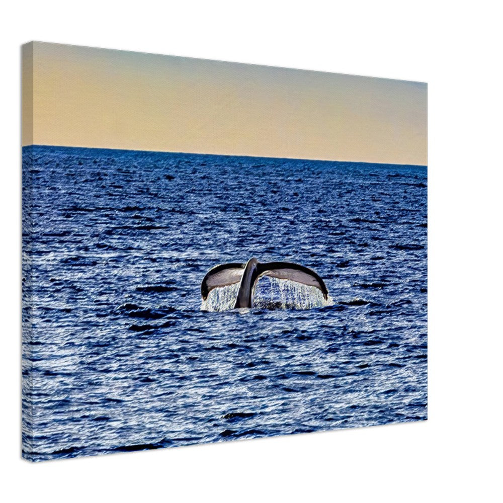 113ffa6f-27fa-4d48-bcc7-0c8ac3ddc98a