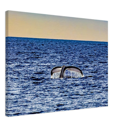 113ffa6f-27fa-4d48-bcc7-0c8ac3ddc98a